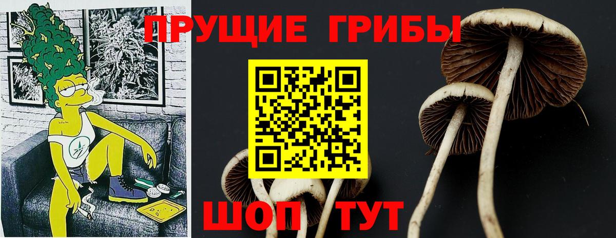 Галлюциногенные грибы Cubensis  Вход с VPN  Барнаул 
